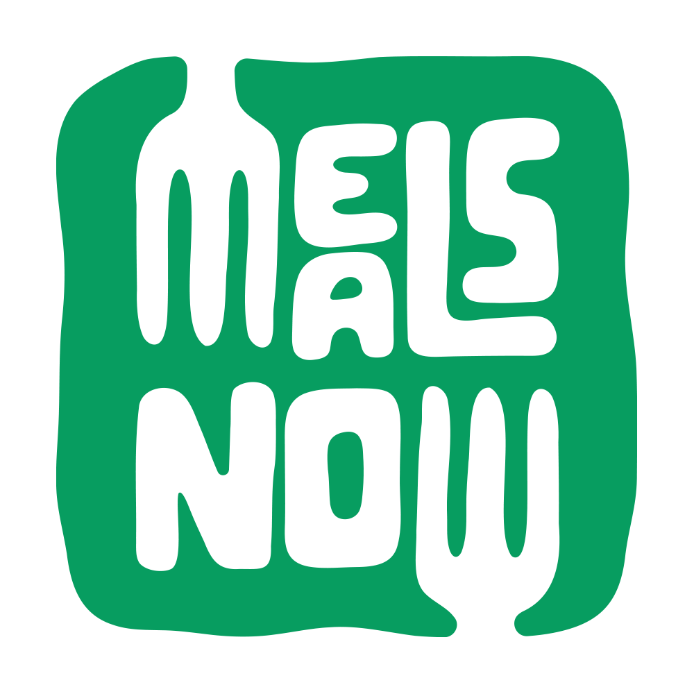 MealsNow Fleet